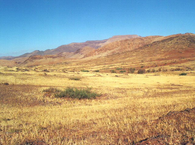 E14