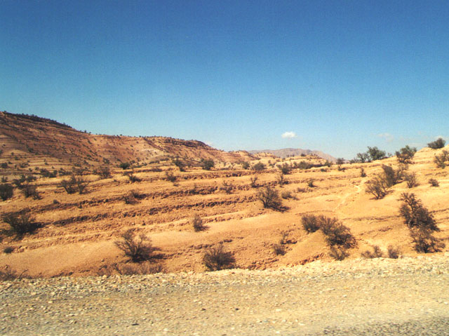 E19