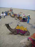 2007_1118_123045_BCR.jpg