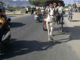 2007_1123_092959_BCR.jpg