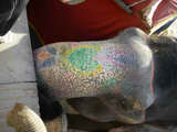 2007_1124_032129_BCR.jpg