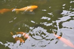 2010_0319_093816_PTS.jpg