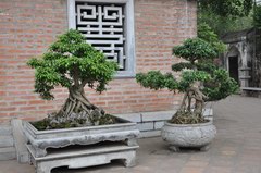 2010_0319_105737_PTS.jpg