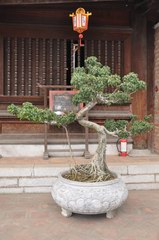 2010_0319_105829_PTS.jpg