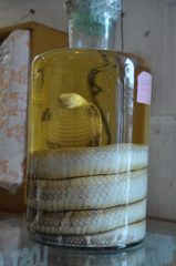 2010_0320_093107_PTS.jpg