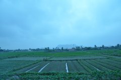 2010_0320_112346_PTS.jpg