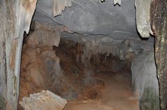 2010_0321_084139_PTS.jpg