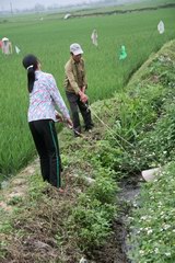 2010_0321_142048_MGD.jpg
