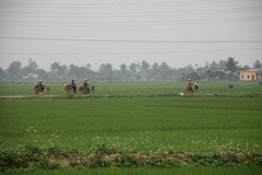2010_0321_142311_MGD.jpg