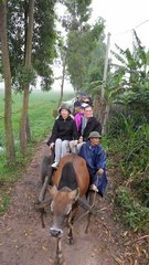 2010_0322_082911_BGT.jpg