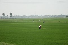 2010_0322_143846_MGD.jpg