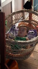 2010_0324_083057_BGT.jpg