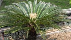 2010_0324_122149_BGT.jpg