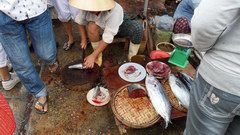 2010_0326_103723_BGT.jpg