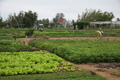 2010_0326_171119_MGD.jpg