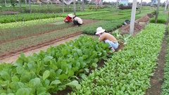 2010_0326_172244_BGT.jpg