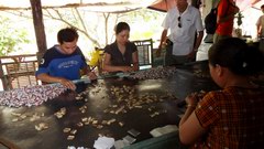 2010_0327_142705_BGT.jpg