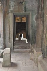 2010_0329_090050_PTS.jpg