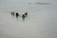 2010_0330_101755_MGD.jpg