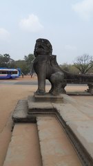 2010_0330_104052_BGT.jpg