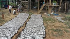2010_0331_080910_BGT.jpg