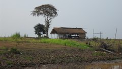2010_0331_085547_BGT.jpg
